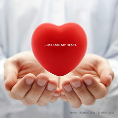 Just Take My Heart(Mr. Big Tribute)
