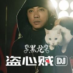 盗心贼(DJ阿亮版)(DJ阿亮版)