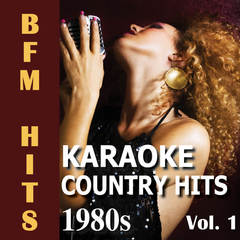 I’m Gonna Hire a Wino to Decorate Our Home(Originally Performed by David Frizzell) (Karaoke Version)