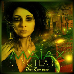 No Fear(Luis Ache Remix)