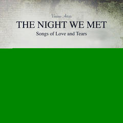 The Night We Met