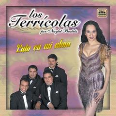 Cuando Llega la Noche