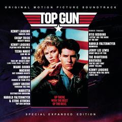 Through the Fire(From ”Top Gun” Original Soundtrack)