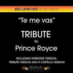 Te Me Vas(Instrumental Version)