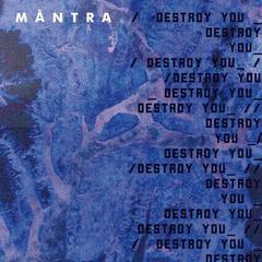 Destroy You
