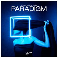 Paradigm(Radio Edit)