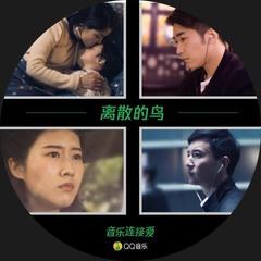 离散的鸟