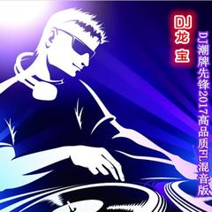 DJ一生一世爱你的人2017FL高品质舞曲