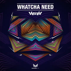 Whatcha Need(Extended Mix)