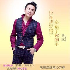 也许我爱错了牵错了你的手 (伴奏) (伴奏)