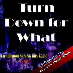 Turn Down for What(Mix Party)