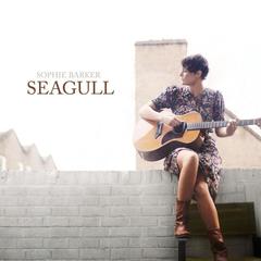 Seagull