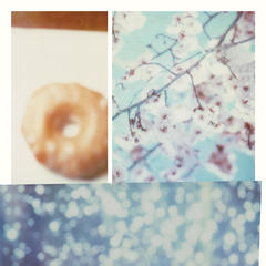 Donut