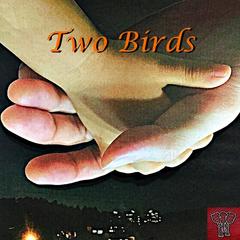 Two Birds