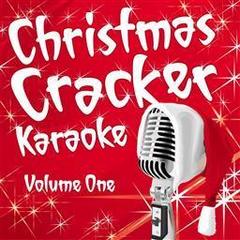 It’s The Most Wonderful Time Of The Year(Karaoke Version)