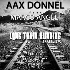 Long Train Running(Fabio Angeli Dance Mix)