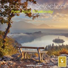 No. 2 in G Minor, Chanson triste. Allegro non troppo