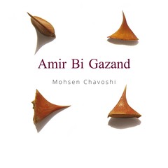 Virooneh Shah Maghsood