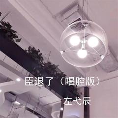 臣退了(唱腔版)