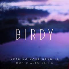 Keeping Your Head Up(Don Diablo Remix; Radio Edit)