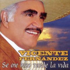 Compaera de Mi Vida(Album Version)