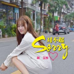 Sorry 对不起(伴奏)