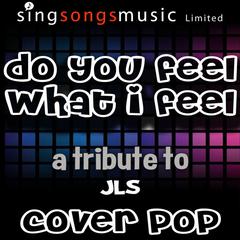 Do You Feel What I Feel