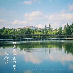 你是我今生的依靠(欢快版伴奏)
