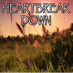 Heartbreak Down - Tribute to Pink