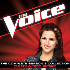 Payphone(The Voice Performance)