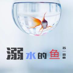 溺水的鱼(伴奏)