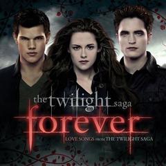 Eyes On Fire(Twilight Soundtrack Version)