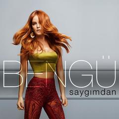 Saygmdan