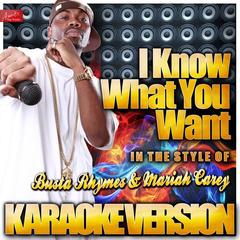 I Know What You Want (In the Style of Busta Rhymes and Mariah Carey)(Karaoke Version)