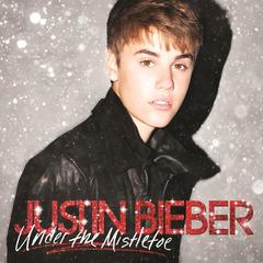 Only Thing I Ever Get For Christmas(Album Version)