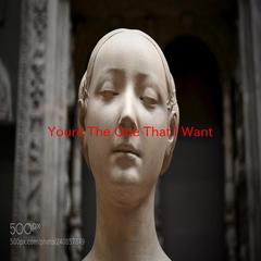 You’re The One That I Want(Complete version originally performed by John Travolta And Olivia Newton-John)