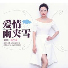 爱情雨夹雪(DJ何鹏版)