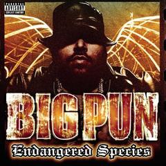 Brave In The Heart Big Pun featuring Terror Squad