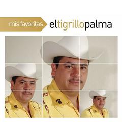 El Rayo De Sinaloa(Album Version)