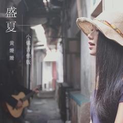 盛夏(小镇吉他版伴奏)