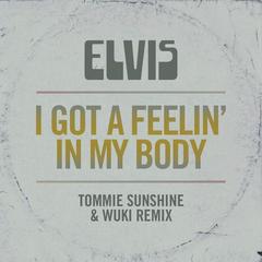 I Got a Feelin’ in My Body(Tommie Sunshine & Wuki Remix)