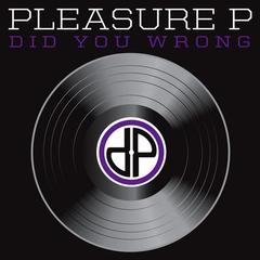 Did You Wrong(Amended Album Version)