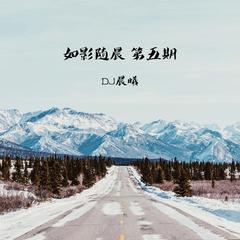 你早已不是我要寻找的少年(美文版)