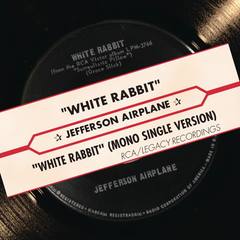 White Rabbit