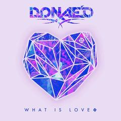 What Is Love(Aizi Robinson Remix)