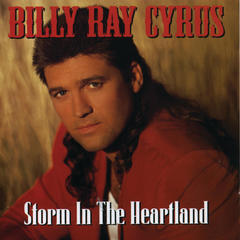 Storm In The Heartland(Album Version)