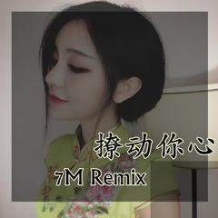 电岔气儿了(Remix)