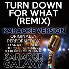 Turn Down For What(Originally Performed By DJ Snake， Lil Jon， Juicy J， 2 Chainz & F)