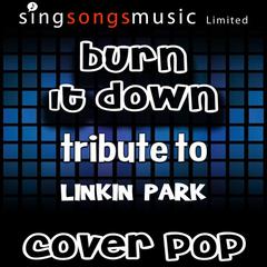 Burn It Down (Tribute to Linkin Park)