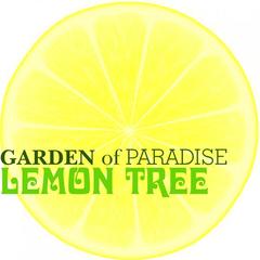 Lemon Tree